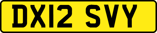 DX12SVY