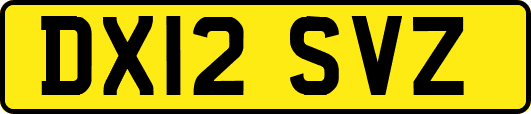 DX12SVZ
