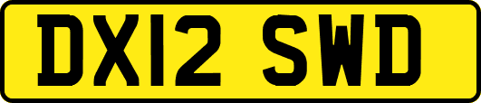 DX12SWD