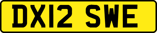 DX12SWE