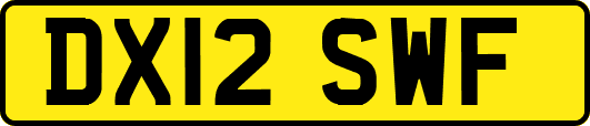DX12SWF