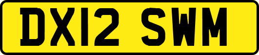 DX12SWM