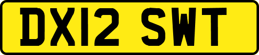 DX12SWT