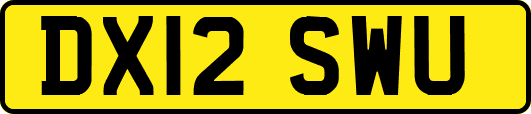 DX12SWU
