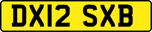 DX12SXB