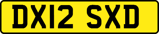 DX12SXD