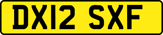 DX12SXF