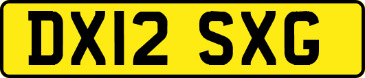 DX12SXG