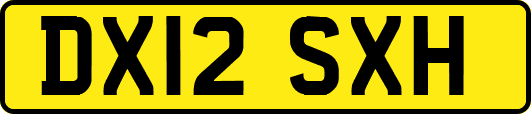 DX12SXH