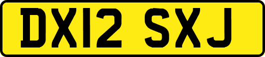 DX12SXJ
