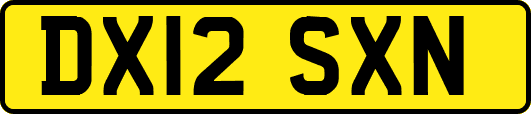DX12SXN