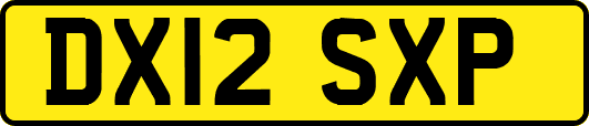 DX12SXP