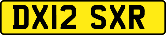 DX12SXR