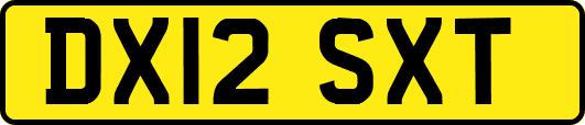 DX12SXT