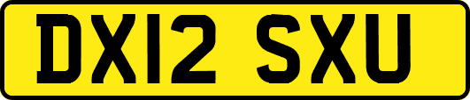 DX12SXU