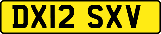 DX12SXV