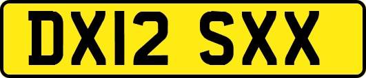 DX12SXX