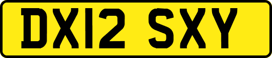 DX12SXY