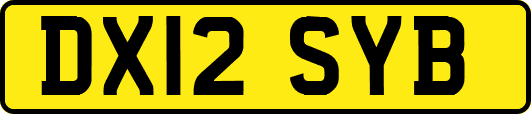 DX12SYB