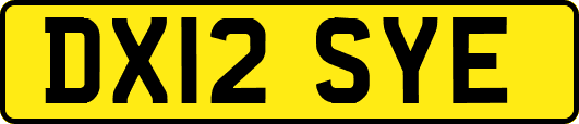 DX12SYE