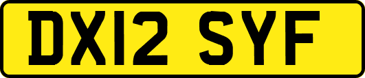 DX12SYF