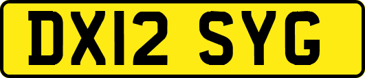 DX12SYG