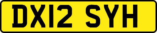 DX12SYH