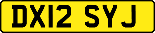 DX12SYJ