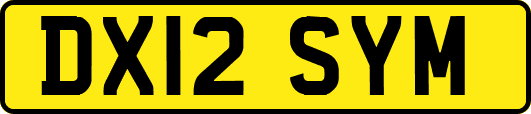 DX12SYM