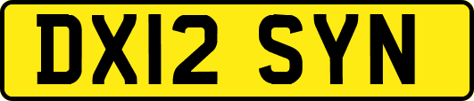 DX12SYN