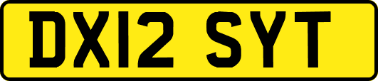 DX12SYT
