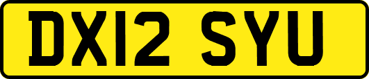 DX12SYU