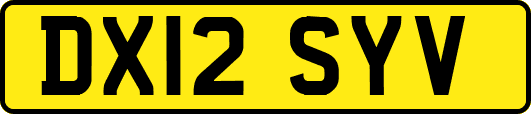 DX12SYV