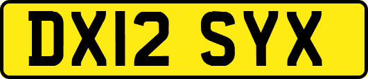 DX12SYX