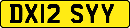 DX12SYY