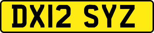 DX12SYZ