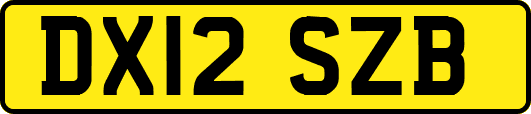 DX12SZB