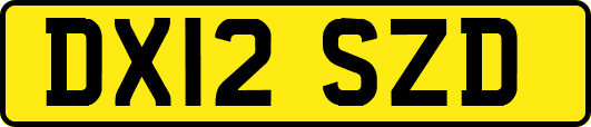 DX12SZD