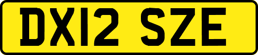 DX12SZE