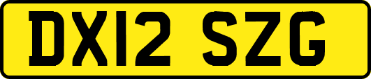 DX12SZG