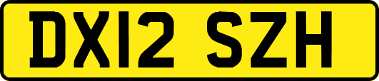 DX12SZH