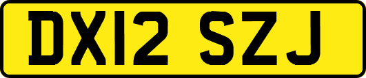 DX12SZJ