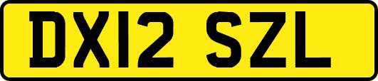 DX12SZL