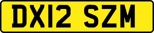 DX12SZM