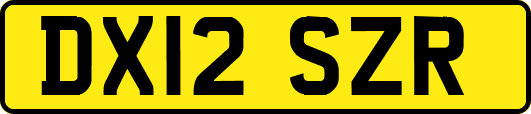 DX12SZR
