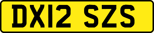 DX12SZS