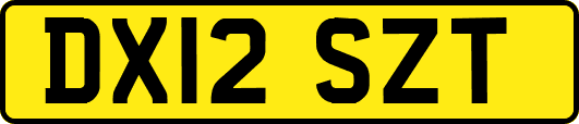 DX12SZT