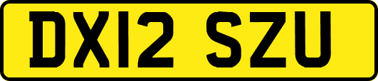 DX12SZU