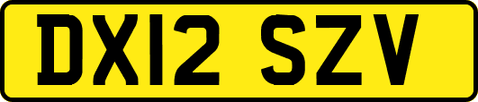 DX12SZV