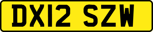 DX12SZW